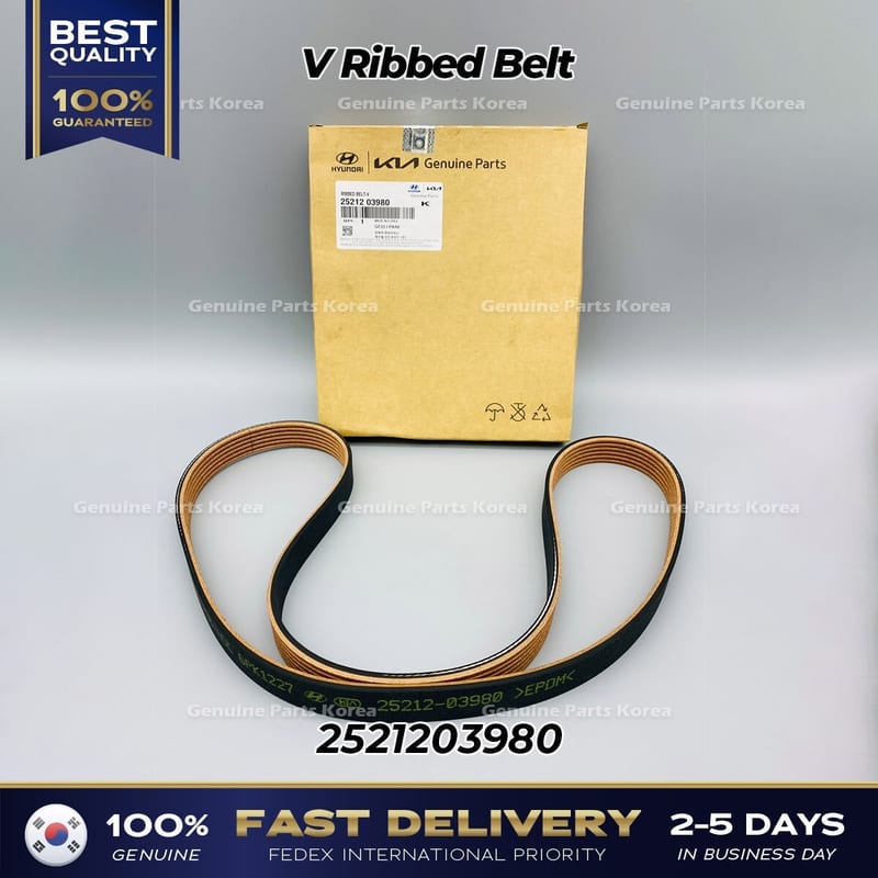Dây curoa tổng