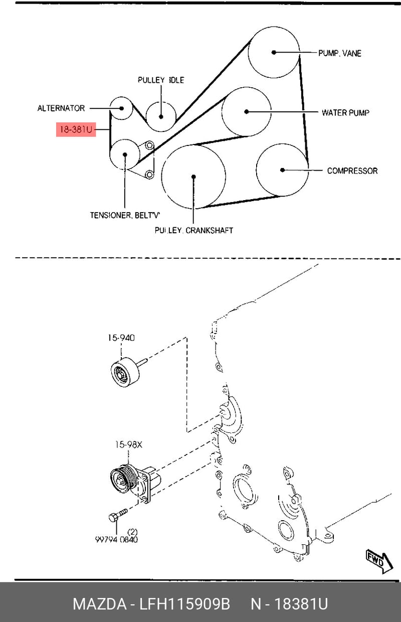 Dây cam