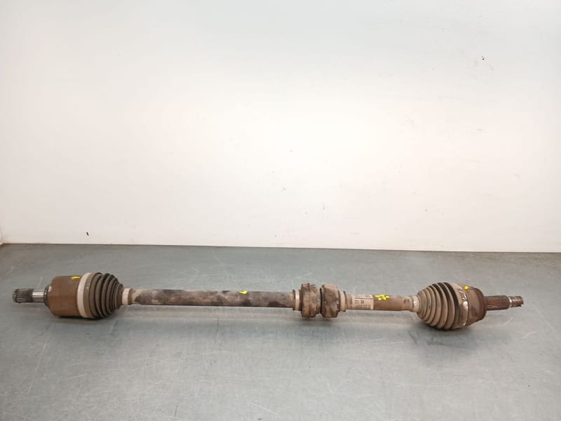 Cây láp phụ