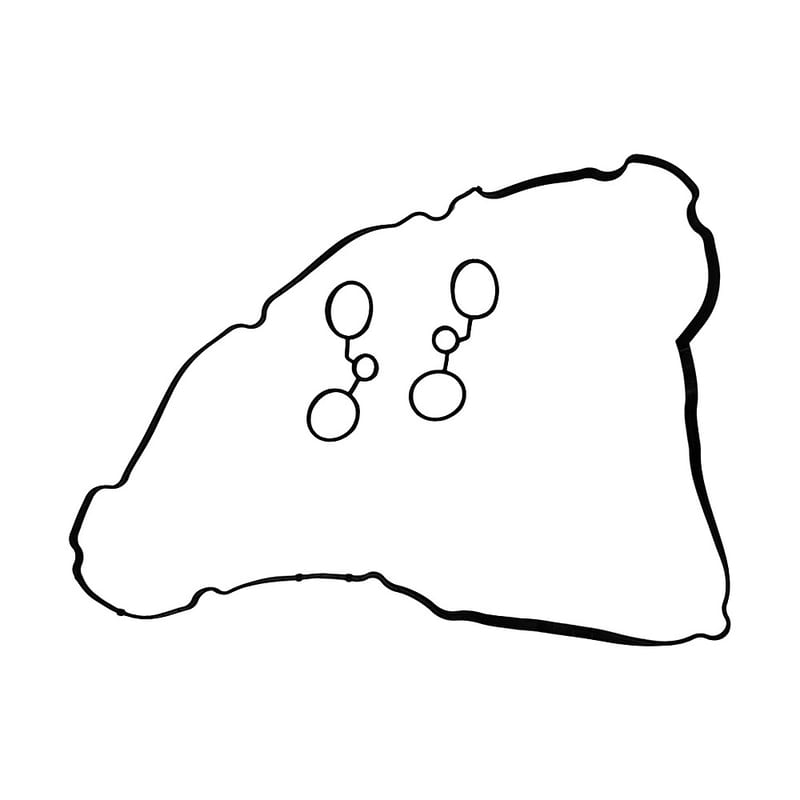 Gioăng dàn cò